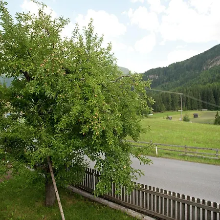 In Near Lift * Wenns