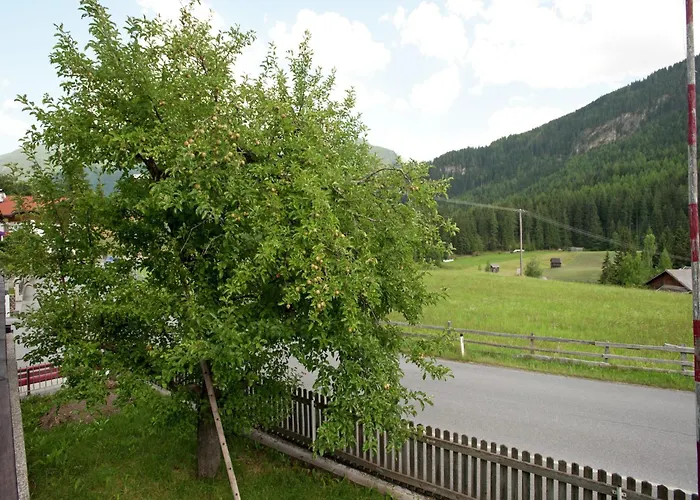 In Near Lift * Wenns